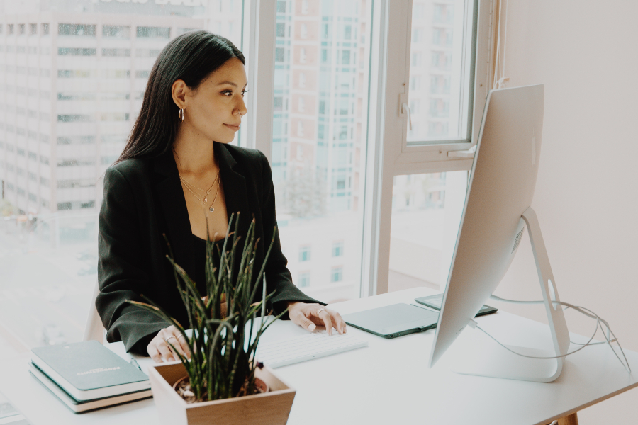 Business Visa - Investors
