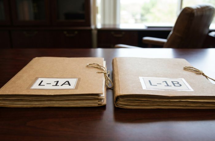 Comparacion detallada de documentos para la visa l1a vs l1b en un entorno de oficina.