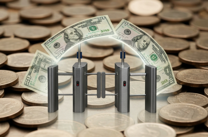 metafora de seguridad financiada con monedas